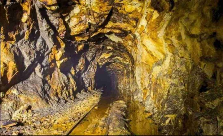 Một ‘mỏ vàng’ của Việt Nam được Mỹ, Trung Quốc đua nhau săn lùng: Thu về hơn 400 triệu USD kể từ đầu năm, gần 2/3 thế giới đã ‘chốt đơn’